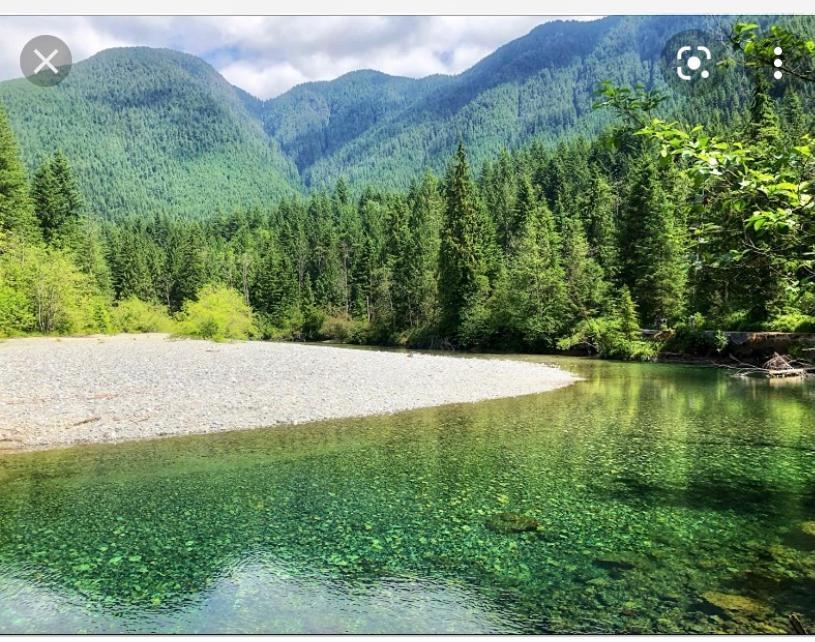 Cozy Suite Close To Nature And The City Maple Ridge Luaran gambar